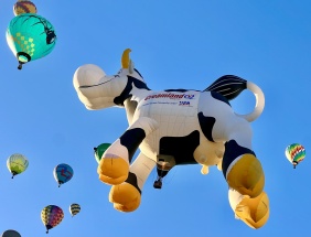 3rd place Marie Dicks CleverCap_Balloons: Udderly fabulous! 3rd place Marie Dicks CleverCap_Balloons: Udderly fabulous!